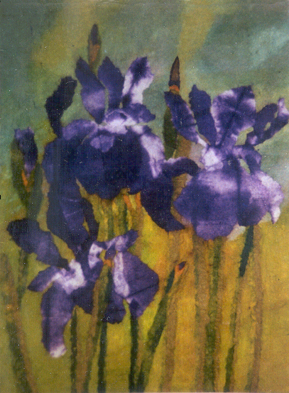 Iris